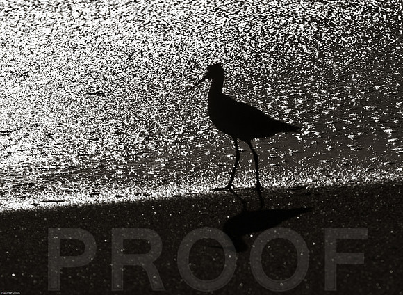 In shadow